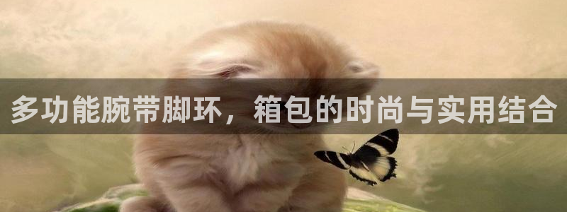 意昂体育3平台假的吗是真的吗