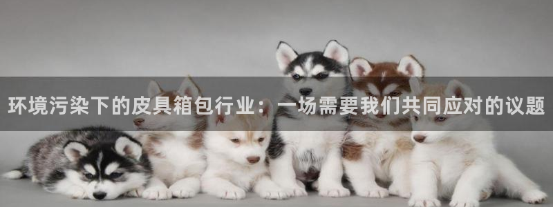 海南意昂体育3发展怎么样