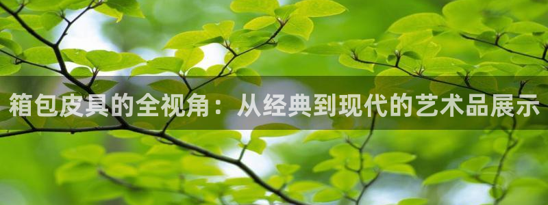 意昂3娱乐首页网站大全