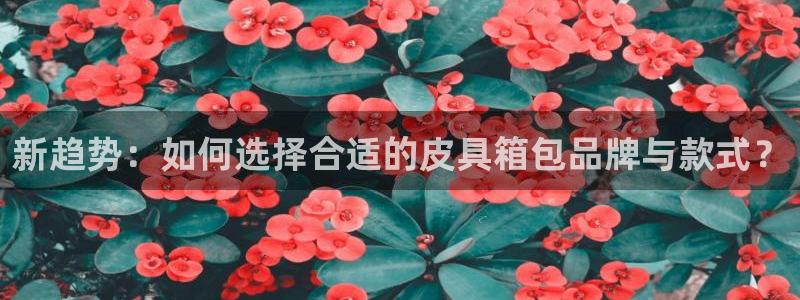 意昂集团官网