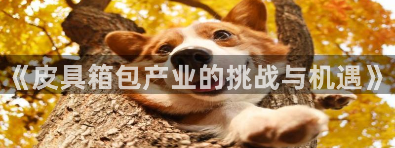意昂体育3招商电话地址查询