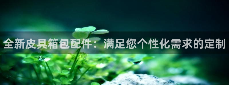 海南意昂体育3