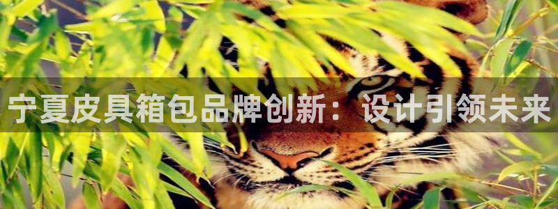 意昂3新能源