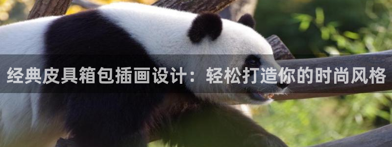 意昂体育3娱乐