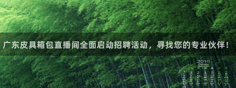 海南意昂体育3发展怎么样