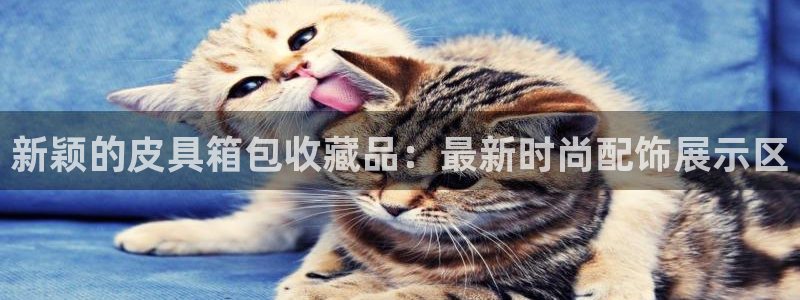 意昂体育3开户