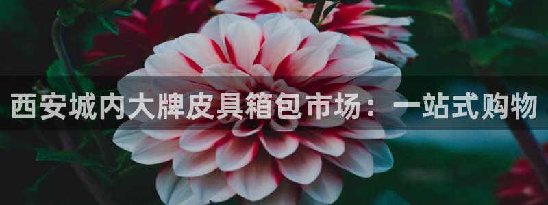 意昂3集团官网网址