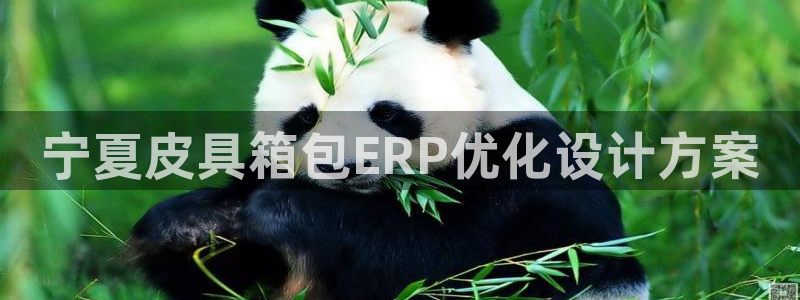 意昂体育3招商电话