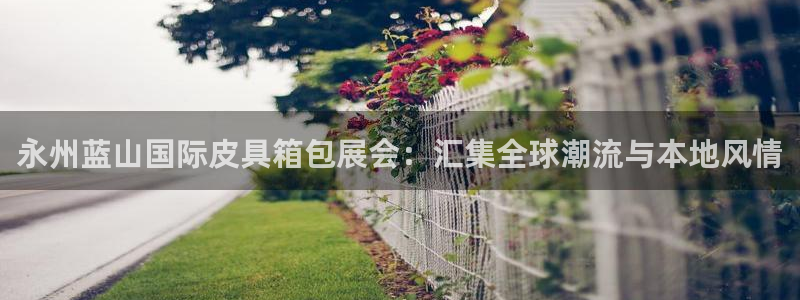 意昂体育3是干嘛的公司