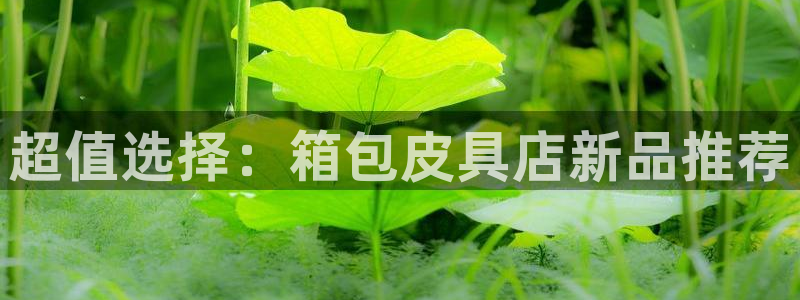 意昂体育3招商电话号码查询是多少
