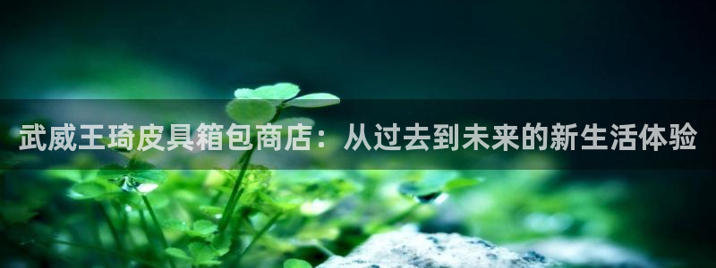 意昂体育3招商电话地址查询