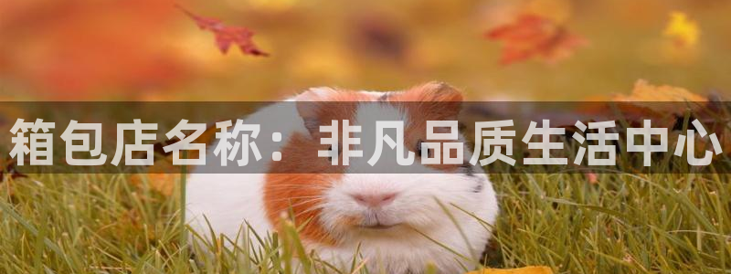 意昂体育3是干嘛的公司
