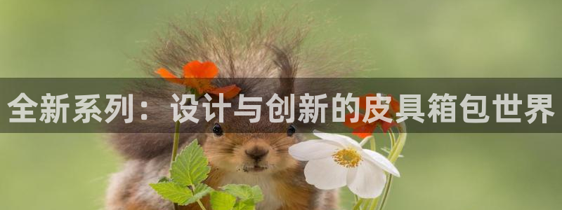 意昂体育3招商电话号码