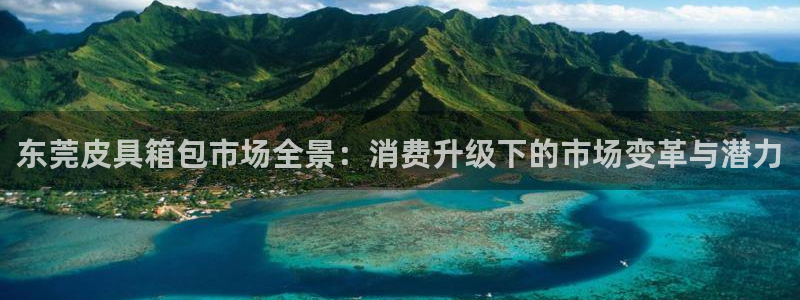 意昂体育3联系电话