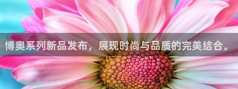 意昂平台体育