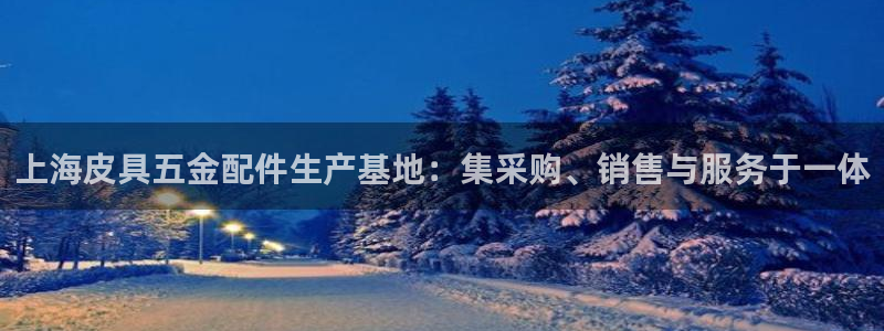 德国意昂3集团