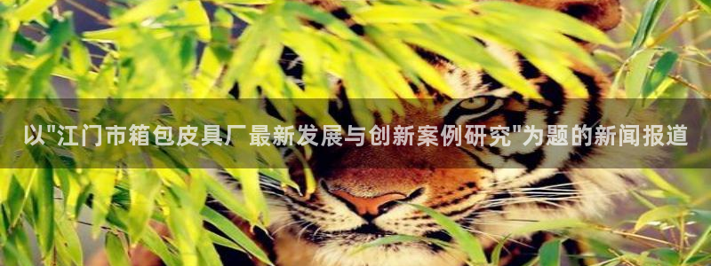 意昂体育3招商电话
