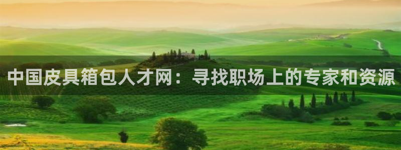 意昂3娱乐首页网站大全