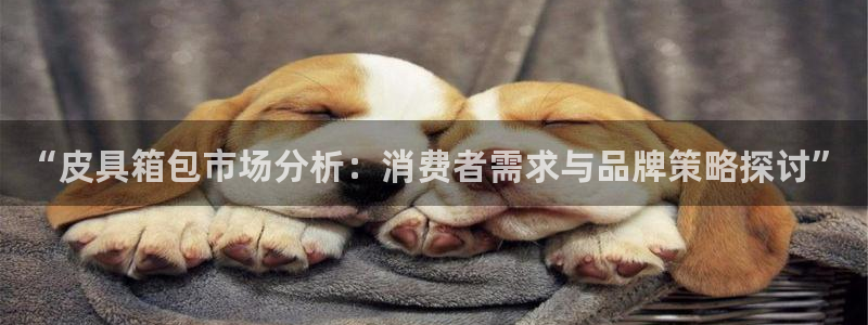 意昂体育3招商电话号码是多少