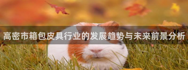 意昂体育3招商电话号码查询