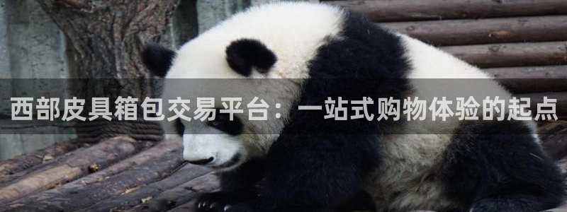 意昂3娱乐是那个系列的台子