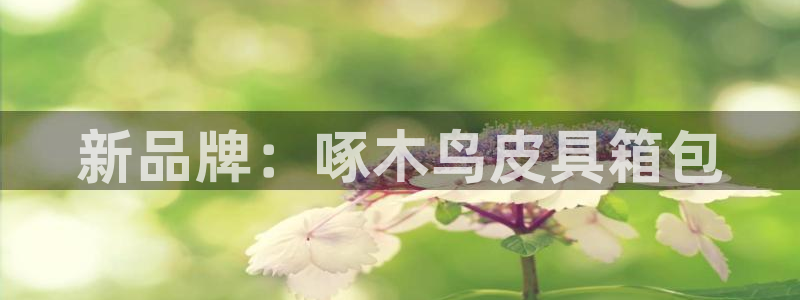 意昂3娱乐是那个系列的台子