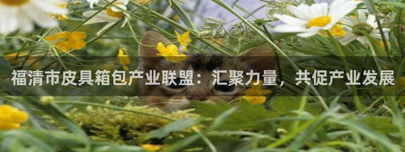意昂体育3招商电话地址