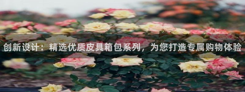 意昂3集团E.ON