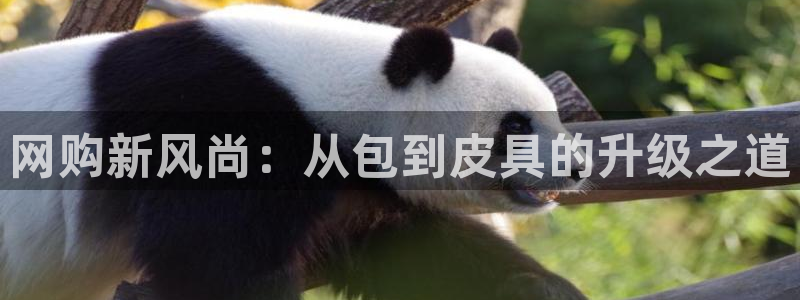 意昂体育3平台假的吗是真的吗