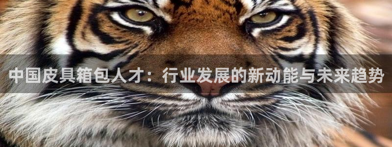 意昂3新能源