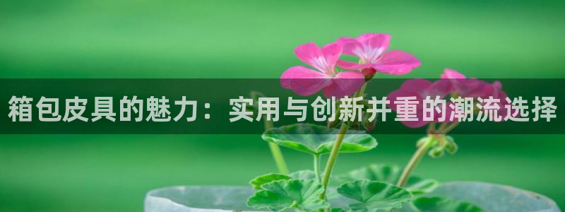 意昂3娱乐下载